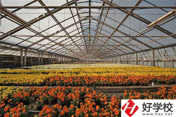 園藝技術專業(yè)好就業(yè)嗎？永州有開設該專業(yè)的公辦學校嗎？