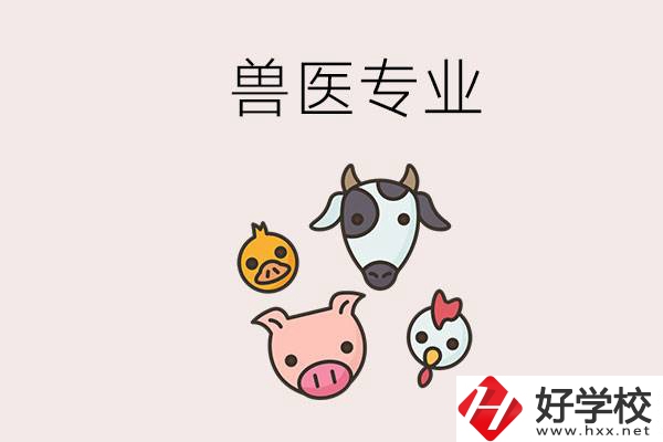 湖南哪些職校能學(xué)獸醫(yī)專業(yè)？學(xué)獸醫(yī)前景怎么樣？