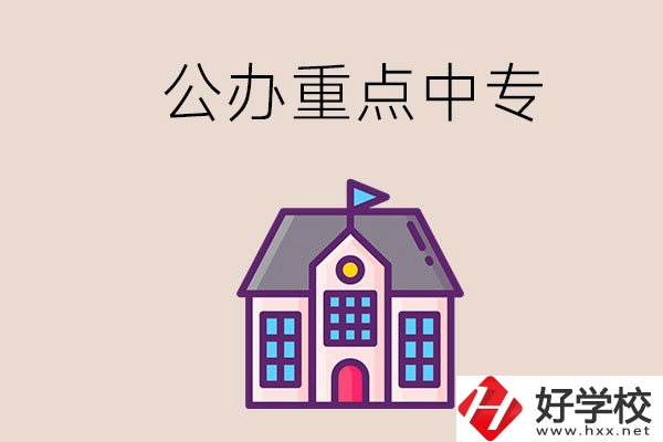 湖南重點(diǎn)中專學(xué)校里哪些是公辦的？