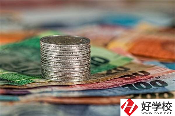 湖南職校會計電算化專業(yè)怎么樣？就業(yè)前景好不好？