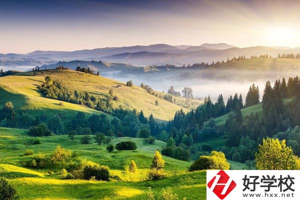 衡陽的中專學校有哪些新開設的專業(yè)？