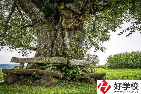 湖南特教中等專業(yè)學(xué)校有哪些特色專業(yè)？有資助政策嗎？