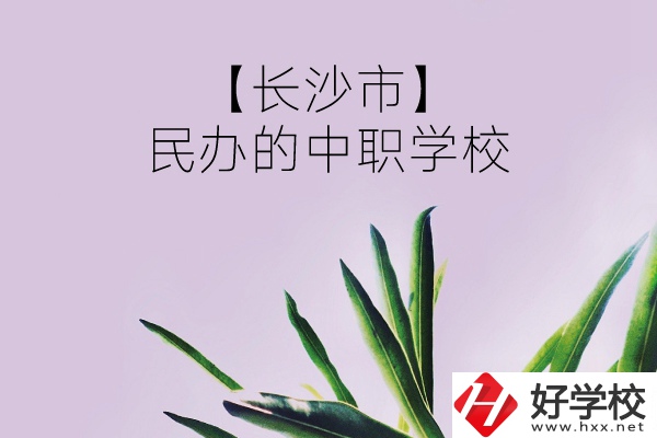 長沙市有哪些民辦的中職學(xué)校？