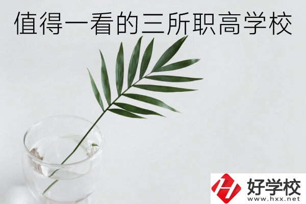 湖南有什么好的職高學(xué)校？這3所學(xué)校值得一看！
