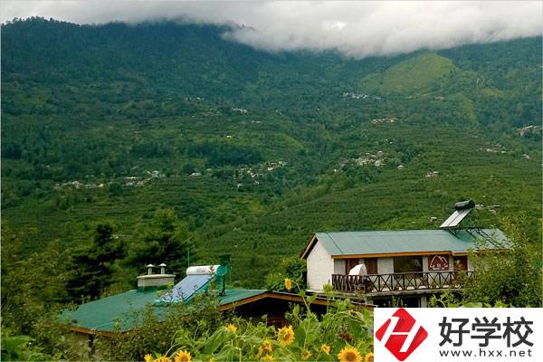 益陽大誠職業(yè)學(xué)校的專業(yè)怎么樣？就業(yè)方向如何？