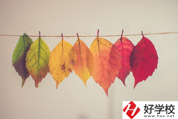 長沙益立中等職業(yè)學校有哪些特色專業(yè)？