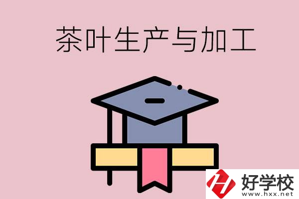 湖南哪些技校開設(shè)了茶葉生產(chǎn)與加工專業(yè)？