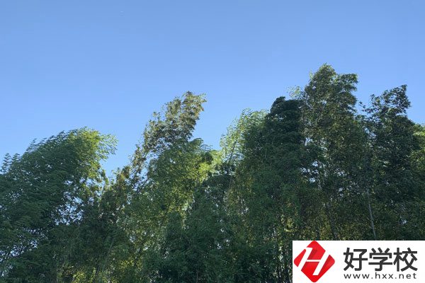張家界協(xié)力技工學(xué)校好不好？就業(yè)前景怎么樣？