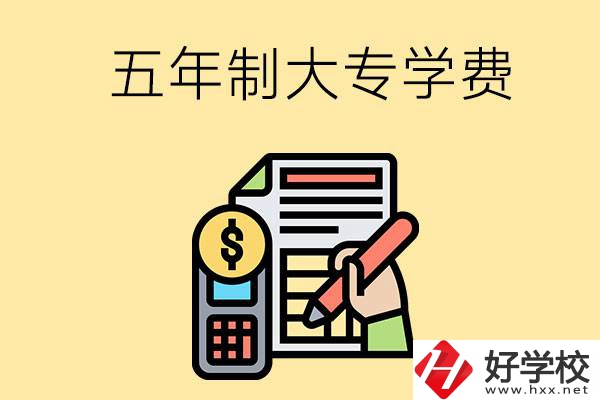在長(zhǎng)沙讀五年制大專(zhuān)一年學(xué)費(fèi)是多少？有補(bǔ)貼嗎？