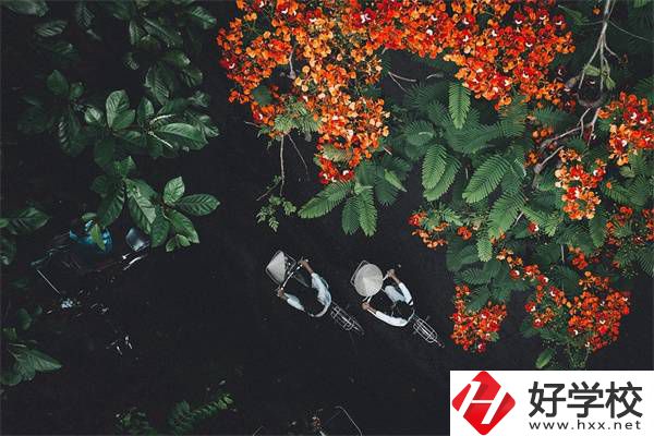湖南分?jǐn)?shù)低選私立高中還是選職校？選職校還能統(tǒng)考嗎？