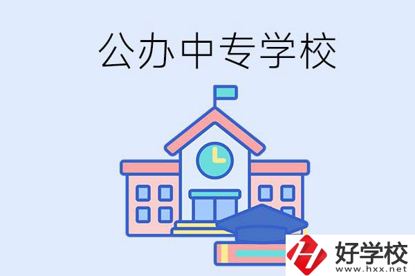 湘西一共有多少所公辦的中專學(xué)校？