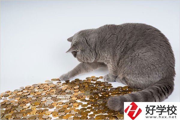 邵陽(yáng)的職高一年學(xué)費(fèi)是多少？比較便宜的學(xué)校有哪些？