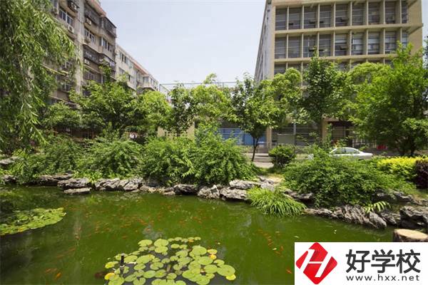 湖南有免學費的技校嗎？學什么專業(yè)比較好？