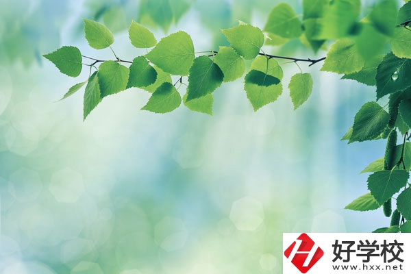 永州工商職業(yè)中等專業(yè)學(xué)校哪些是特色專業(yè)？好就業(yè)嗎？