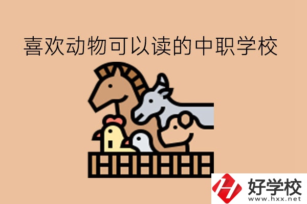 喜歡動物的學生，可以讀這些中職學校!