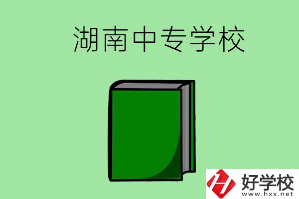 湖南的中專學校有哪些？都開設(shè)了哪些專業(yè)？