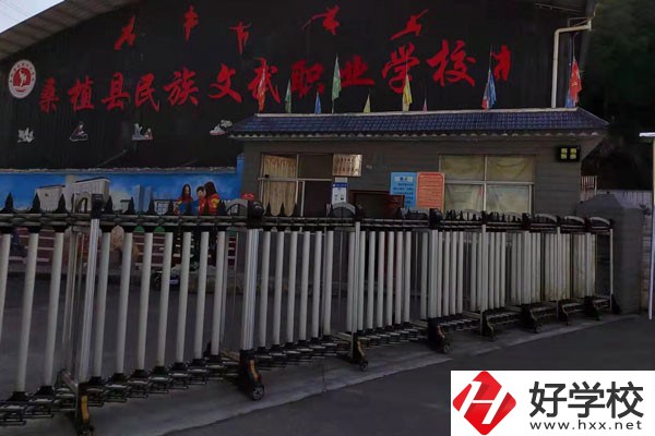 桑植縣民族文武職業(yè)學(xué)校大門(mén)