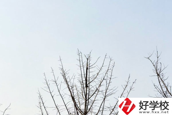益陽第一職業(yè)中專學(xué)校怎么樣？值得報考嗎?
