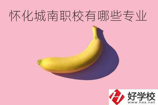 懷化城南職業(yè)學校有哪些專業(yè)？學校好不好？