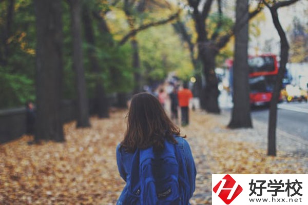 衡陽市職業(yè)中等學校計算機應用專業(yè)好不好？