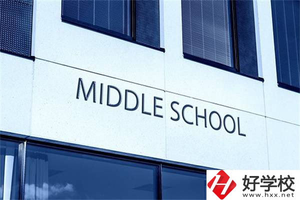 在湖南考不上高中又想繼續(xù)讀書怎么辦？有學校推薦嗎？