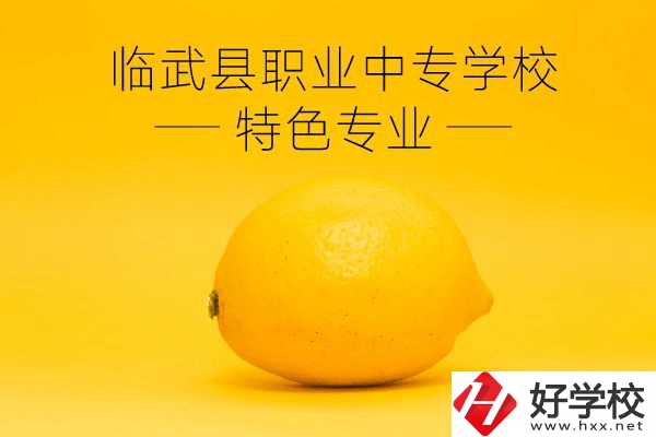臨武縣職業(yè)中專學(xué)校好嗎？有哪些特色專業(yè)？
