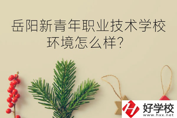 岳陽新青年職業(yè)技術(shù)學(xué)校好不好？環(huán)境怎么樣？