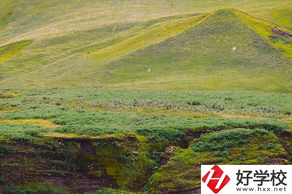 湖南衡南職業(yè)中等專業(yè)學校好嗎？學校有什么優(yōu)勢？