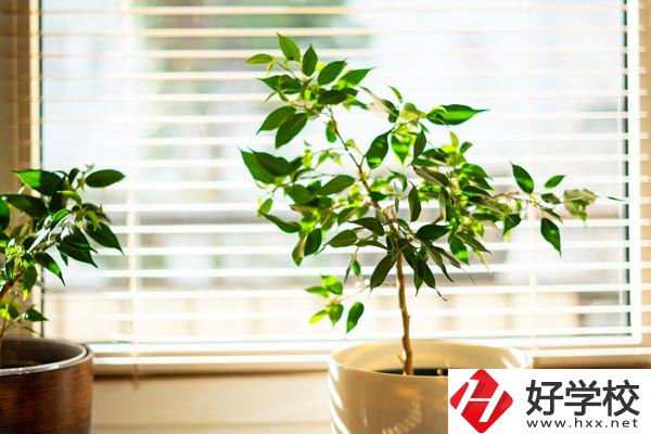 湖南省商業(yè)技師學(xué)院有哪些教學(xué)特色？報(bào)考有何要求？