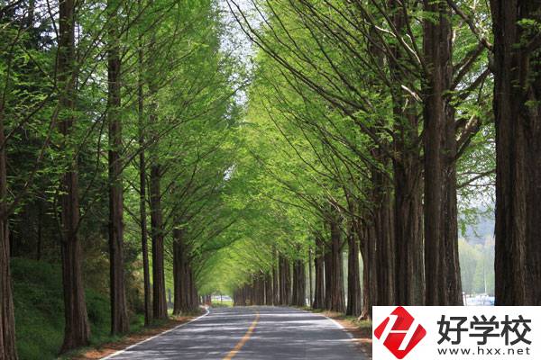 張家界的公辦中職學(xué)校有哪些？