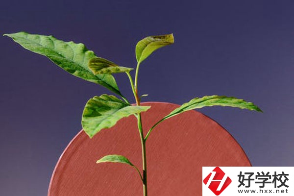株洲市工業(yè)中等專校怎么樣？好不好？