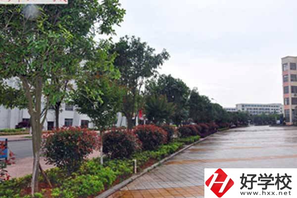 長沙市電子工業(yè)學(xué)校開設(shè)了哪些專業(yè)，附招生要求？