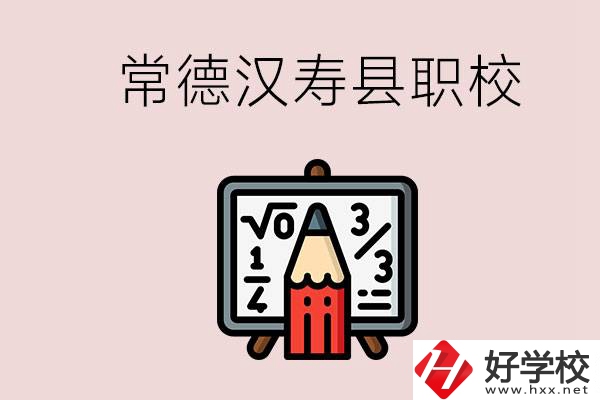 常德的漢壽縣有什么職校？是公辦的嗎？