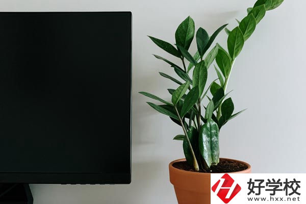 岳陽市網(wǎng)絡(luò)工程職業(yè)技術(shù)學(xué)校有哪些熱門專業(yè)？
