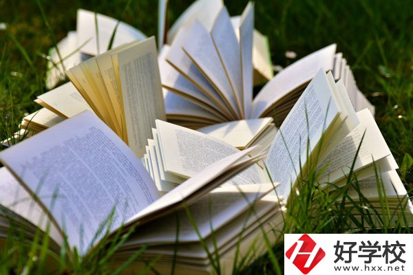 中方縣職業(yè)中等專業(yè)學(xué)校有什么專業(yè)？好不好？