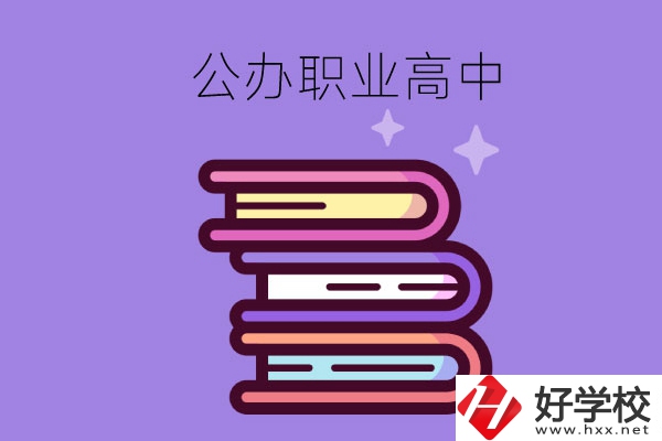 長沙市有哪些公辦職業(yè)高中學校？