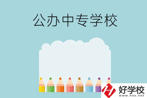 湖南地區(qū)有哪些公辦的中專學(xué)?？梢酝扑]呢？