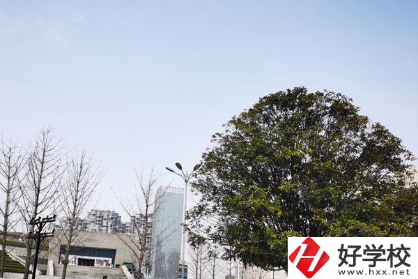益陽科技工程學(xué)校有哪些專業(yè)？就業(yè)如何？