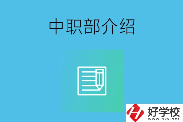 湘潭院校中職部介紹，這幾所學(xué)校你知道嗎？