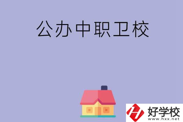 湖南公辦中職衛(wèi)校有哪些？這2所值得關(guān)注！