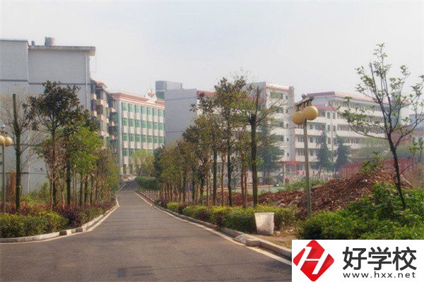 益陽有哪些高級(jí)技校？學(xué)校有什么亮點(diǎn)？