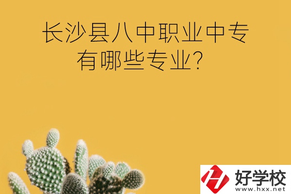 長沙縣八中職業(yè)中專好不好？有哪些專業(yè)？