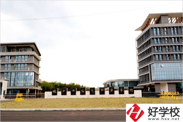 在株洲云龍職校城智慧路上有什么職校？