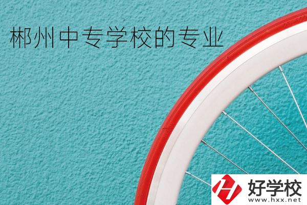郴州中專學校有什么專業(yè)？