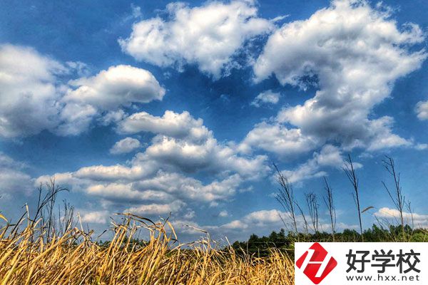 衡陽(yáng)市瀟湘衛(wèi)生中等專業(yè)學(xué)校有哪些特色專業(yè)？