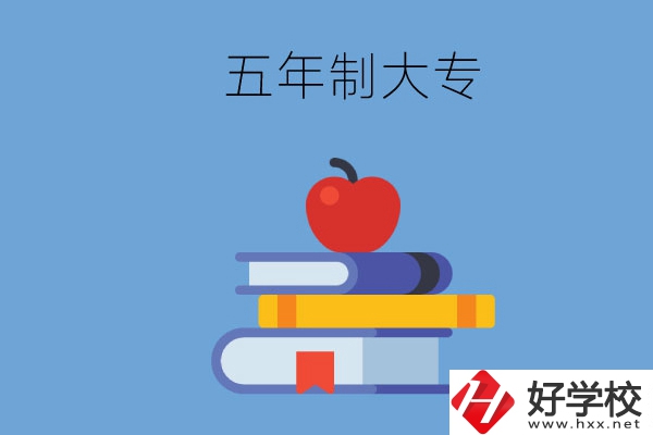 長沙開設教育類專業(yè)的五年制大專有哪些？