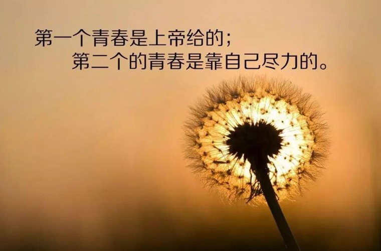 2025年佳木斯汽修職業(yè)學(xué)校有哪些