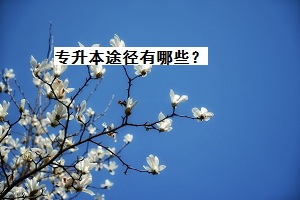 專升本途徑有哪些？