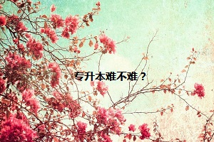 專升本難不難？