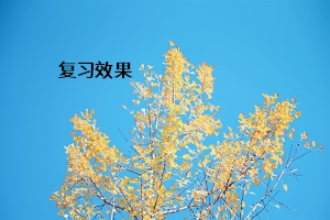 復習效果